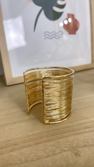 8F56CB2F-AB9A-4DE6-9DE3-892A91179EC1