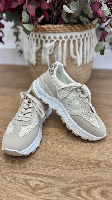 IMG_3537