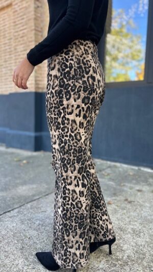 IMG_3776